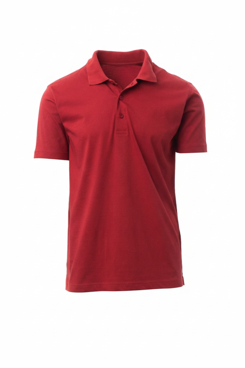Regular Fit Men's Jersey Polo Bordeaux